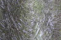 Fen Ditton fibreglass roof work